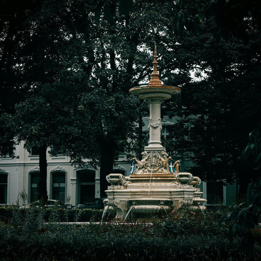 hoite-prins-_zXHefZsHc0-unsplash